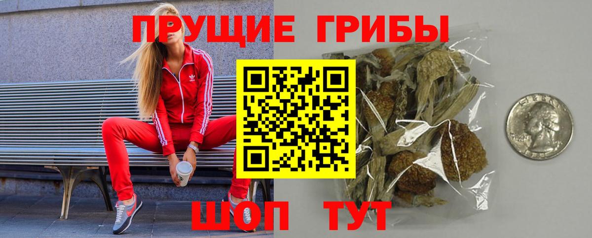 Псилоцибиновые грибы мицелий  Вход с VPN  Богородицк  Галлюциногенные грибы GOLDEN TEACHER 
