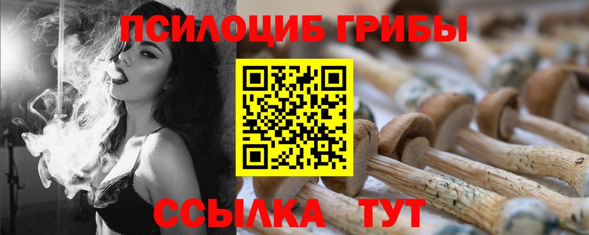 Галлюциногенные грибы GOLDEN TEACHER Богородицк